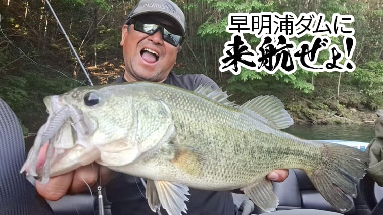 アフターバスにはハリーシュリンプ！おススメリグは…【早明浦ダムに来航ぜょ！】