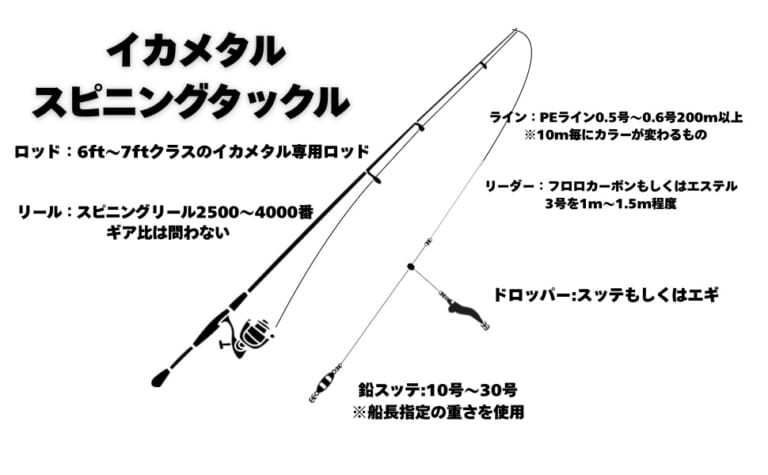 スルメイカ釣り方 | イカメタル | スピニングタックルの仕掛け図｜〈初心者の釣り〉“スルメイカ”の生態／釣りシーズン／釣り方／仕掛け／食べ方【夏の夜釣りの風物詩! 沖釣りの超人気ターゲット】