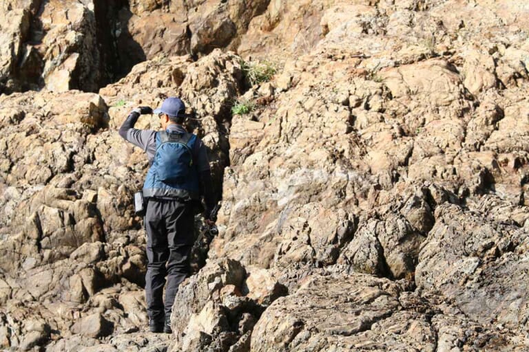 ヒラスズキの釣り方｜ヒラスズキの潜む荒磯｜〈初心者の釣り〉“ヒラスズキ”の生態／釣りシーズン／釣り方／仕掛け／食べ方【荒磯の王者、サラシに潜む銀鱗のファイター】