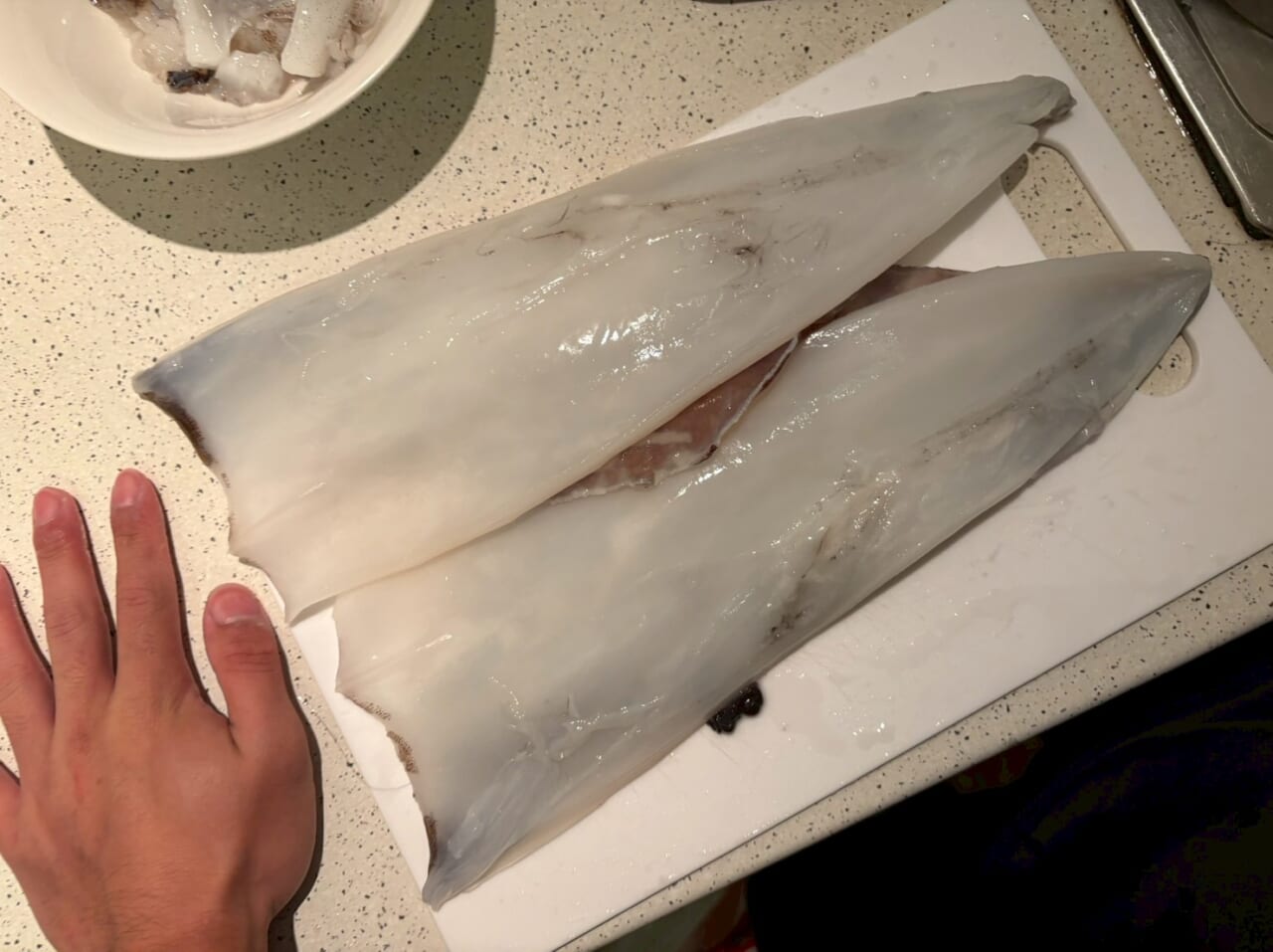 |「モンスターがシドニー湾で釣れることも…」オーストラリアのイカ釣り事情って? 制限があるってホント?