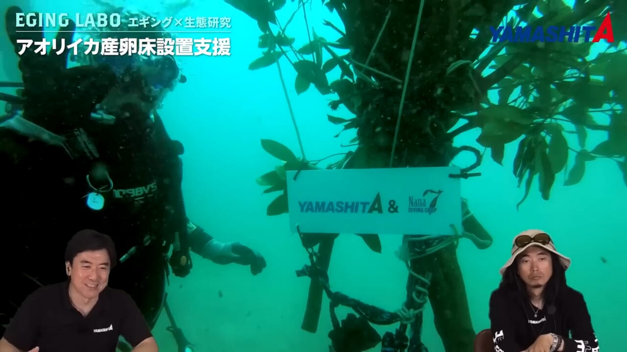 ｜持続的に釣りを楽しむための、命を繋ぐ活動。釣り人に知ってほしい水の中の真実【YAMARIA/アオリイカ産卵床設置支援プロジェクト】