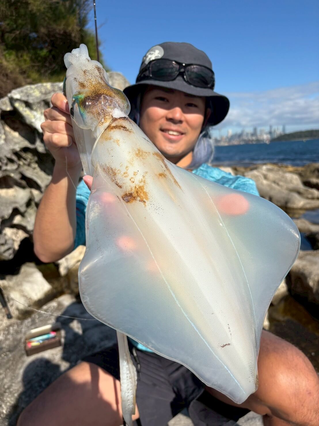 |「モンスターがシドニー湾で釣れることも…」オーストラリアのイカ釣り事情って? 制限があるってホント?