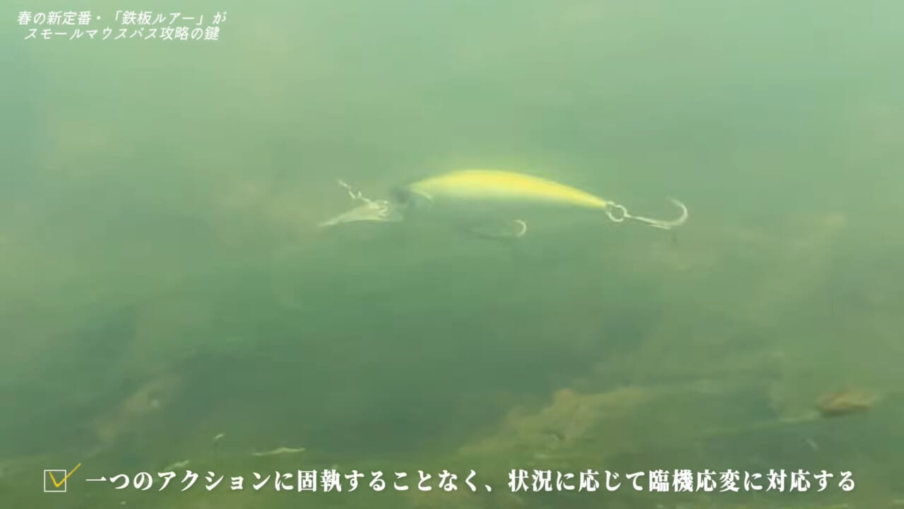｜檜原湖完全攻略！プロガイドが明かす春の対スモールマウスメソッド【ポイントはラインシステム】
