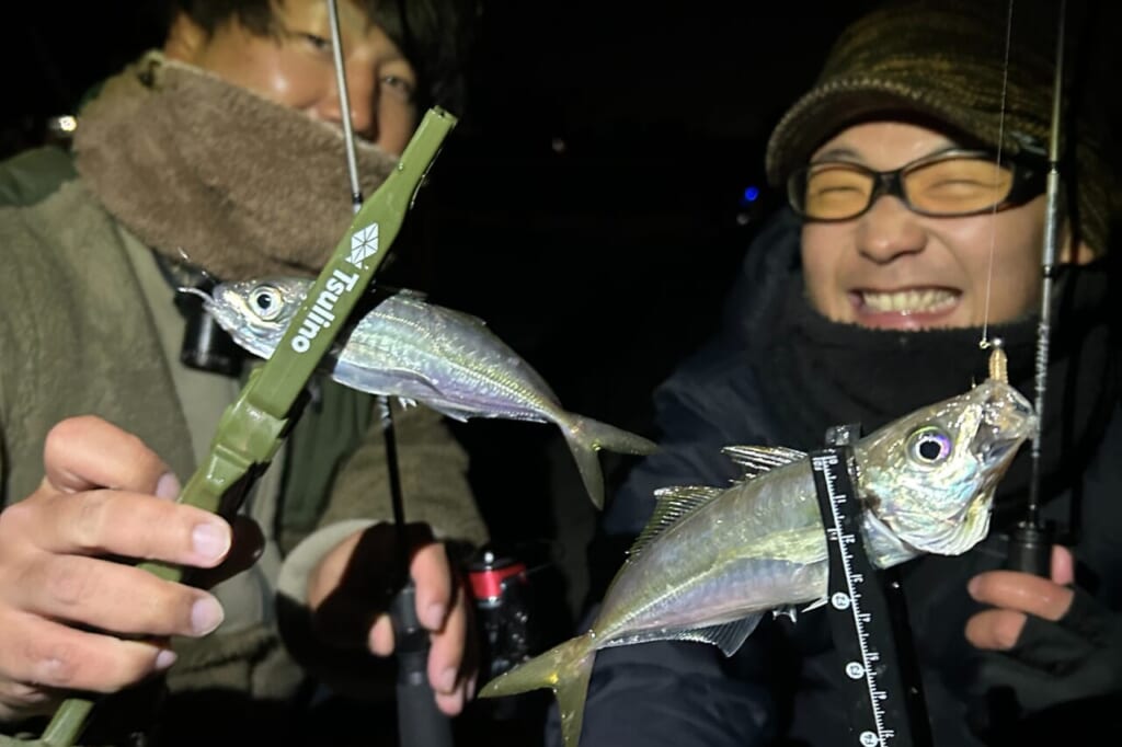 ｜【アジング入門】初心者の方必見！アジングの釣り方、ワームカラーセレクトなど、釣果UPの秘訣を徹底解説！