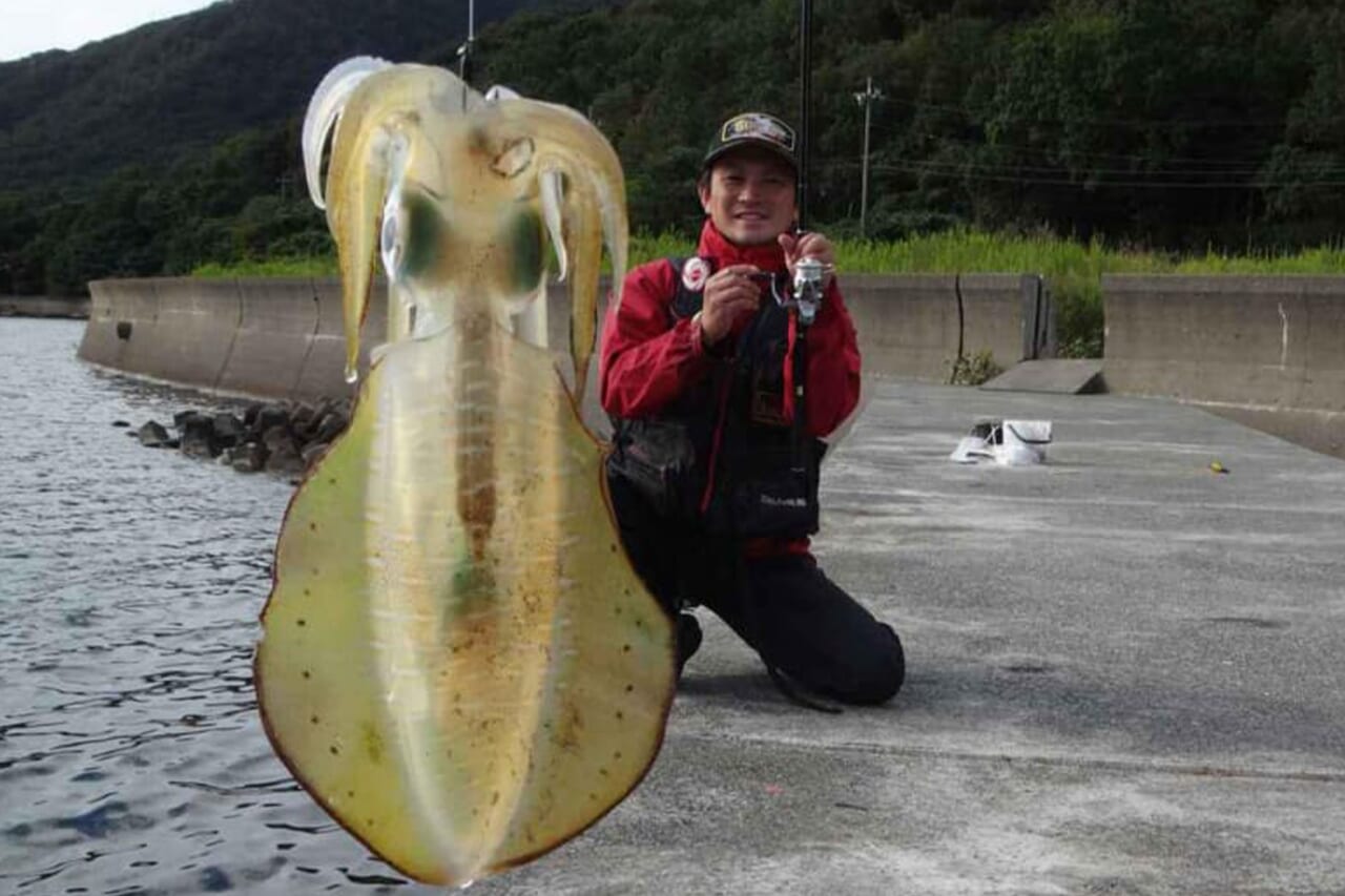 アオリイカの釣り方｜釣れたアオリイカ｜〈初心者の釣り〉“アオリイカ”の生態／釣りシーズン／釣り方／仕掛け／食べ方【イカの王様を釣って味わう!】