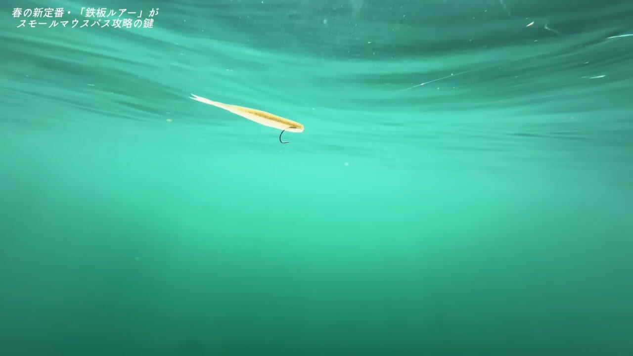 ｜檜原湖完全攻略！プロガイドが明かす春の対スモールマウスメソッド【ポイントはラインシステム】