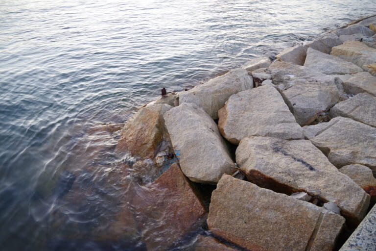 カサゴの釣り方｜カサゴの潜む消波ブロックや岩場｜〈初心者の釣り〉“カサゴ”の生態／釣りシーズン／釣り方／仕掛け／食べ方【堤防の赤い宝石! 手軽さと食味を兼ね備えた人気者】
