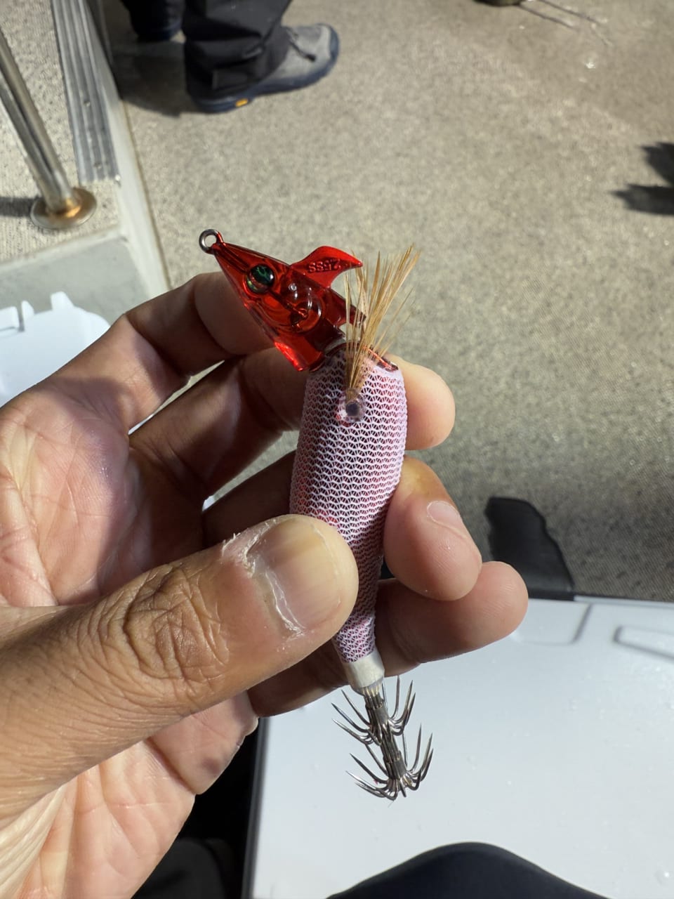 ｜[DAIWA岩城透さん直伝]エメラルダスMXイカメタルシリーズ2025年追加機種を深堀り解説－タックル編－