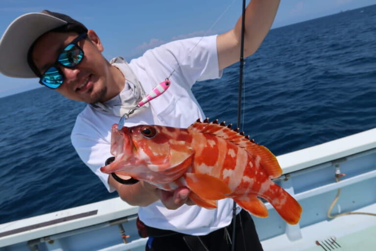 アカハタ釣り｜上品な白身魚｜【深紅に輝く磯のファイター】“アカハタ”の生態／釣りシーズン／釣り方／仕掛け／食べ方〈初心者釣り知識〉