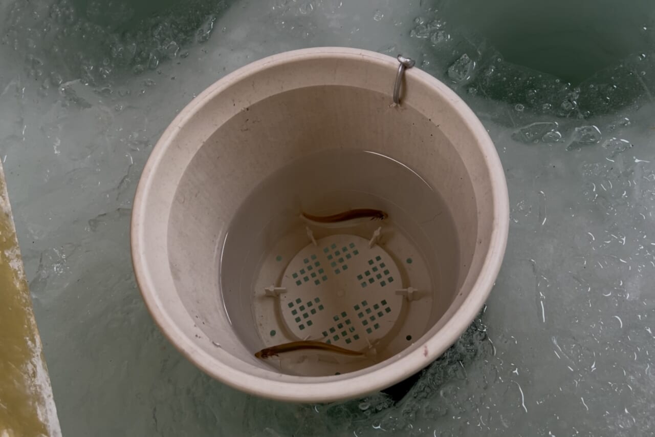 ｜「キスに似てる魚…」可愛すぎる釣りガールが氷上で初体験!? 眞白桃々が釣って食べて冬の釣りを楽しんだ！