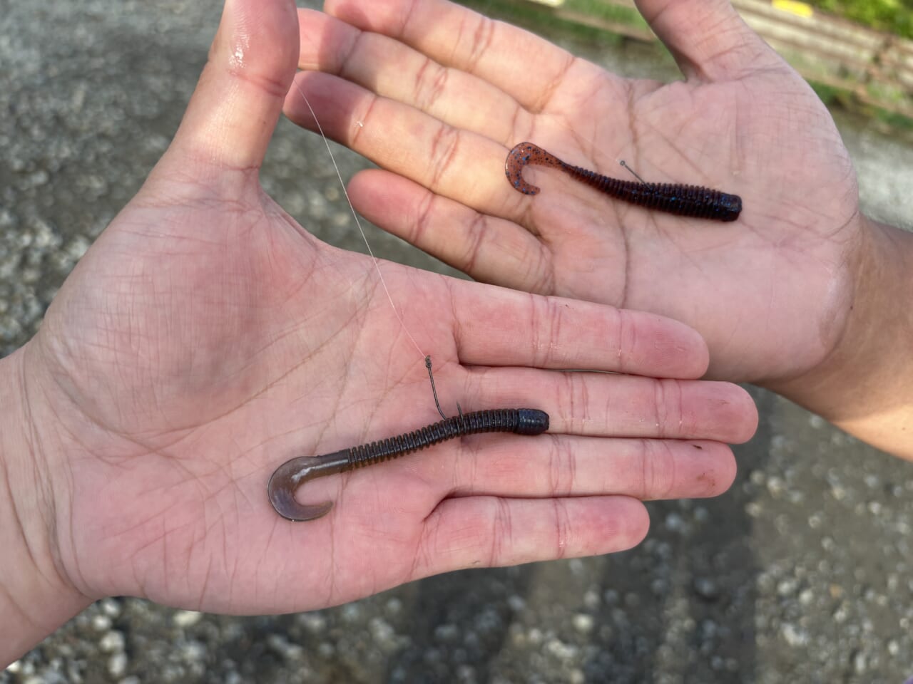|「早掛け8番勝負!」釣れすぎでバトル白熱。何にでも使える超万能ワームがこれだ!「悪魔的に釣れる…」【ビバ・サターンR /ファット】