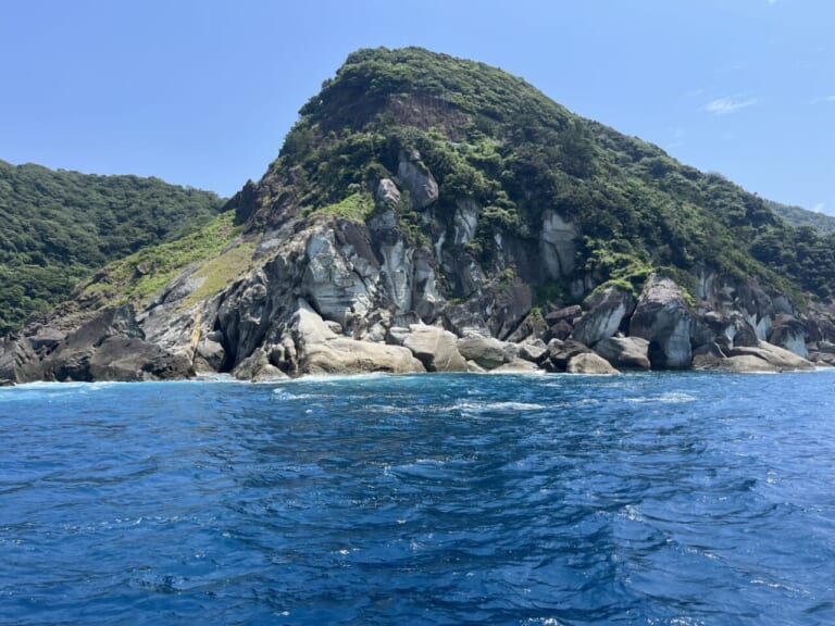 アカハタ釣り｜夏ベストシーズン｜【深紅に輝く磯のファイター】“アカハタ”の生態／釣りシーズン／釣り方／仕掛け／食べ方〈初心者釣り知識〉