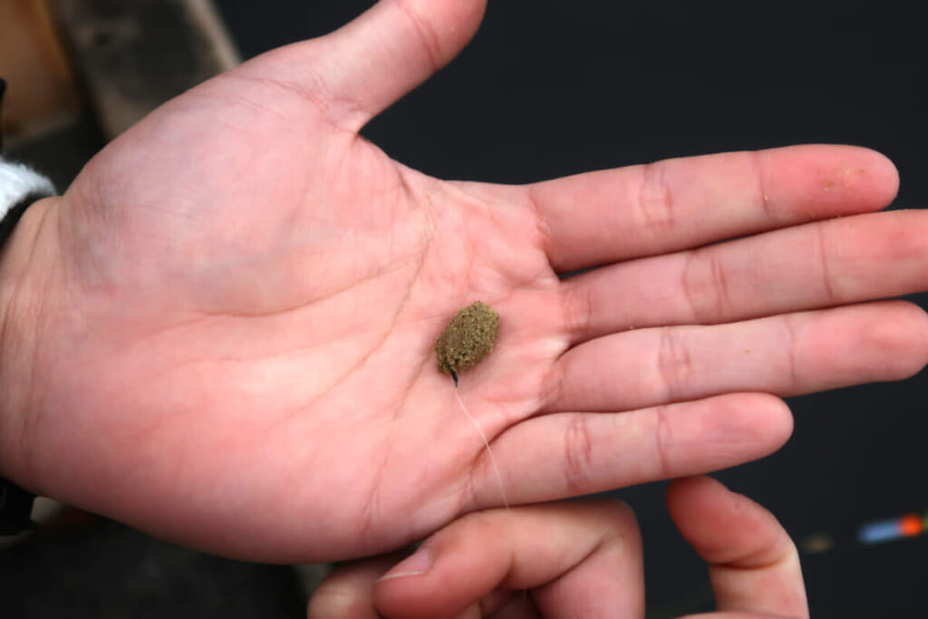 コイ釣り|コイ用の練り餌|〈初心者の釣り〉“コイ”の生態/釣りシーズン/釣り方/仕掛け/食べ方【身近なフィールドに潜む淡水の大物】