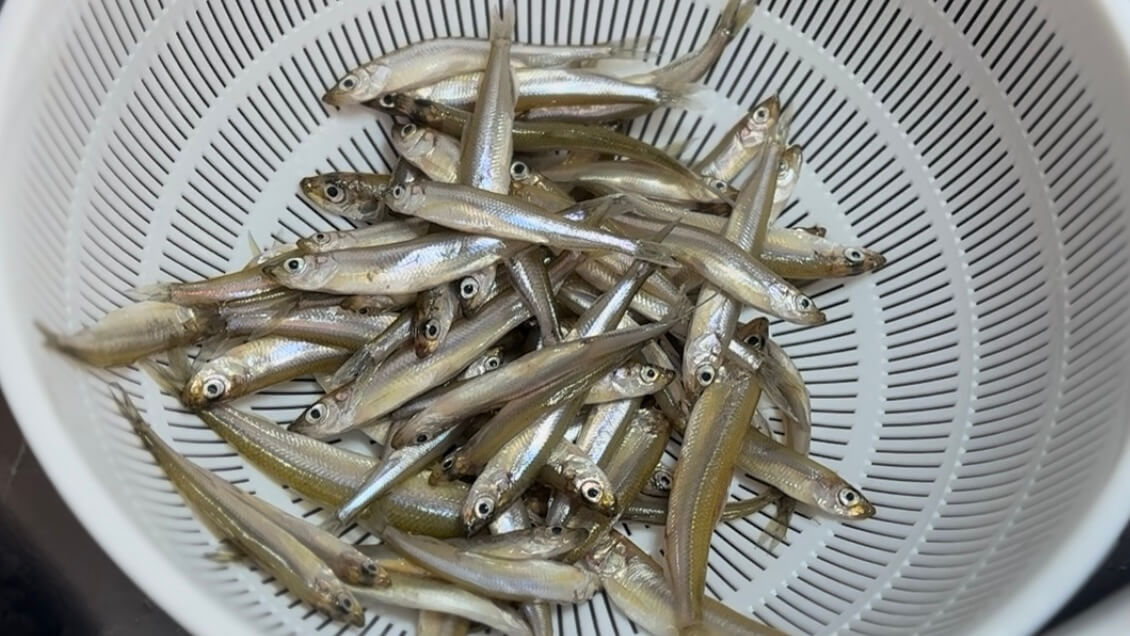 ｜「キスに似てる魚…」可愛すぎる釣りガールが氷上で初体験!? 眞白桃々が釣って食べて冬の釣りを楽しんだ！