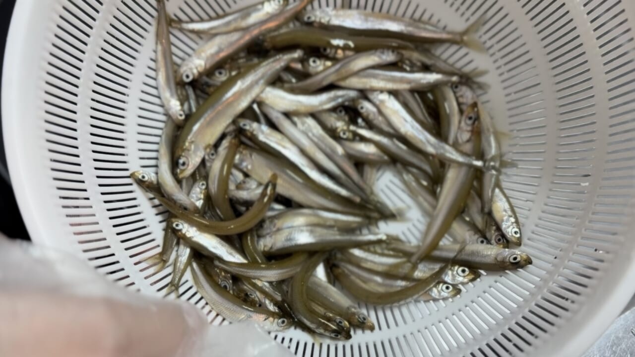 ｜「キスに似てる魚…」可愛すぎる釣りガールが氷上で初体験!? 眞白桃々が釣って食べて冬の釣りを楽しんだ！