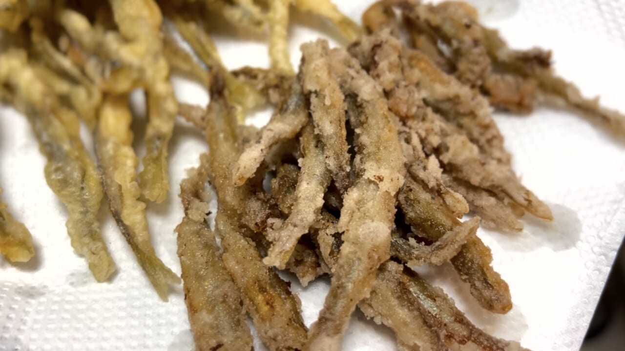 ｜「キスに似てる魚…」可愛すぎる釣りガールが氷上で初体験!? 眞白桃々が釣って食べて冬の釣りを楽しんだ！