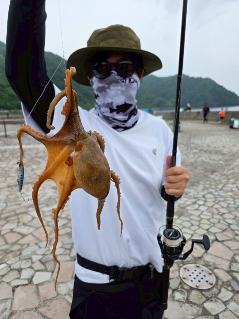 タコ釣り方 | 釣れたタコ｜〈初心者の釣り〉“タコ”の生態／釣りシーズン／釣り方／仕掛け／食べ方【岸壁に潜む美味なる知恵者を釣り上げろ!】