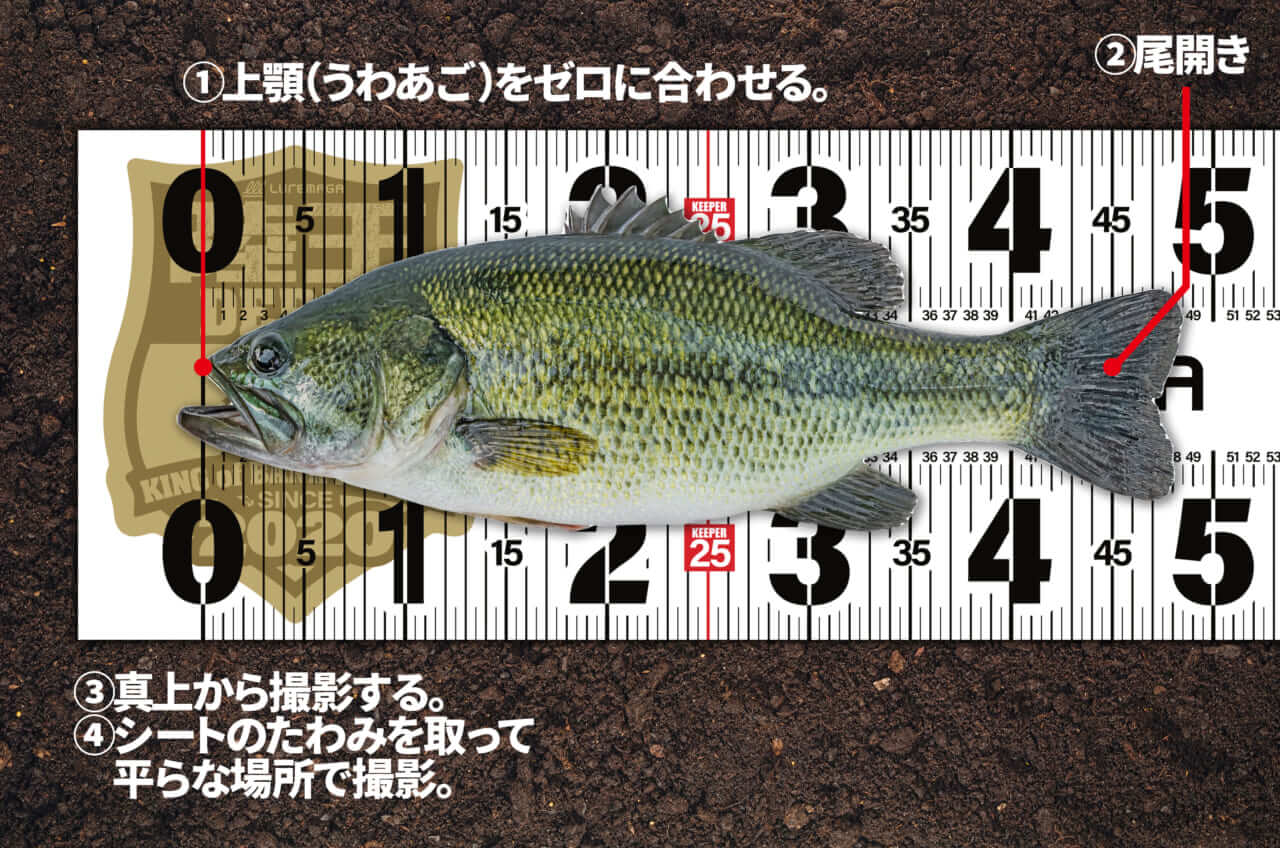 ｜新生陸王オープン　BCLアプリウェイイン解説
