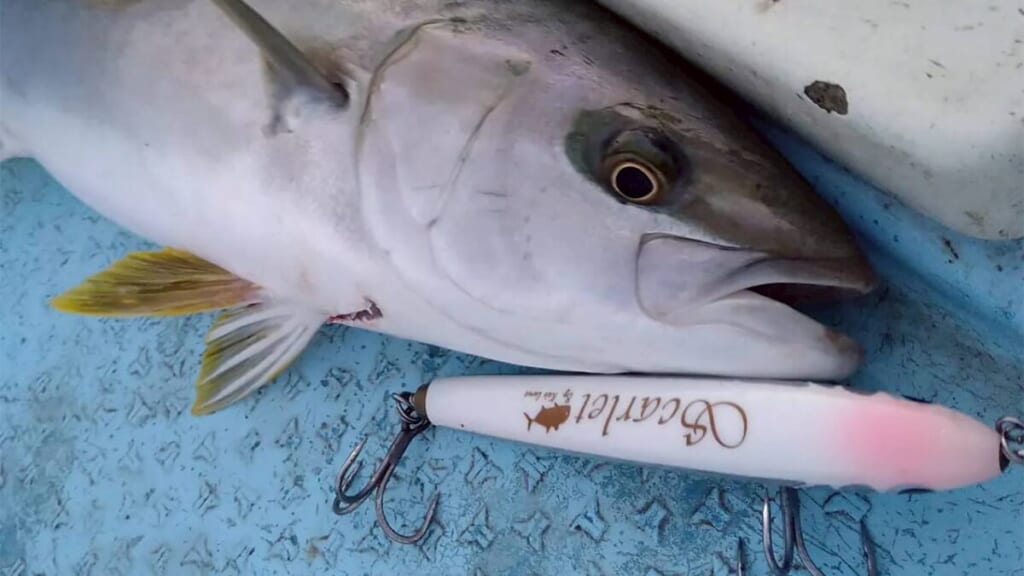 ae46b1f460ee46f789c27b264a6cb4