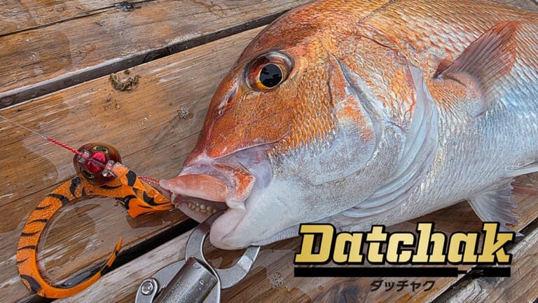 【タイラバを変える革新的新機構】異次元の脱着のしやすさ！『タイラバヘッドの最適解、出たっしょ』【ダッチャク/アクアウェーブ】