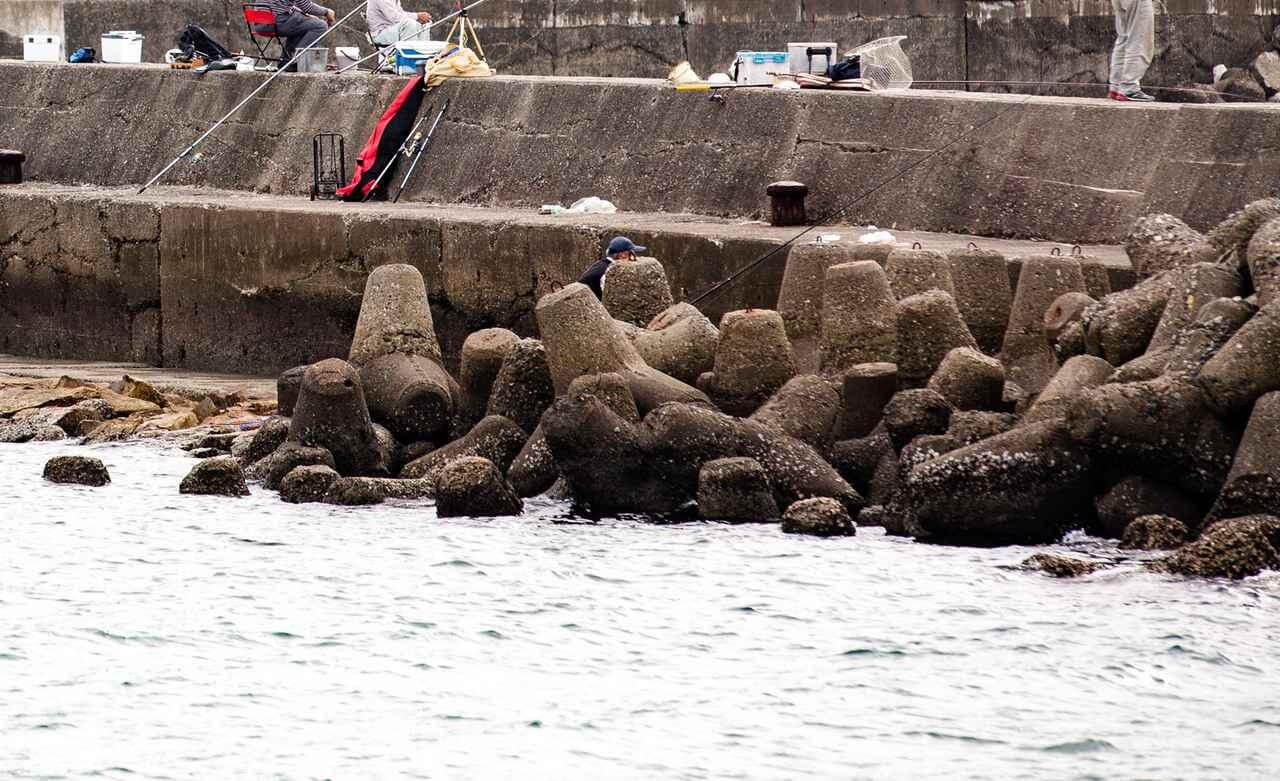 メバルの釣り方｜穴釣りのポイントとなる消波ブロック｜〈初心者の釣り〉“メバル”の生態／釣りシーズン／釣り方／仕掛け／食べ方【春の訪れを告げるライトゲームのアイドル】