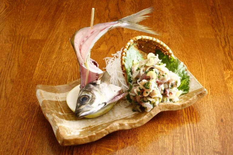 アジ釣り｜アジの刺し身／なめろう｜【堤防のアイドルは食べて絶品の万能魚】“アジ”の生態／釣りシーズン／釣り方／仕掛け／食べ方〈初心者釣り知識〉