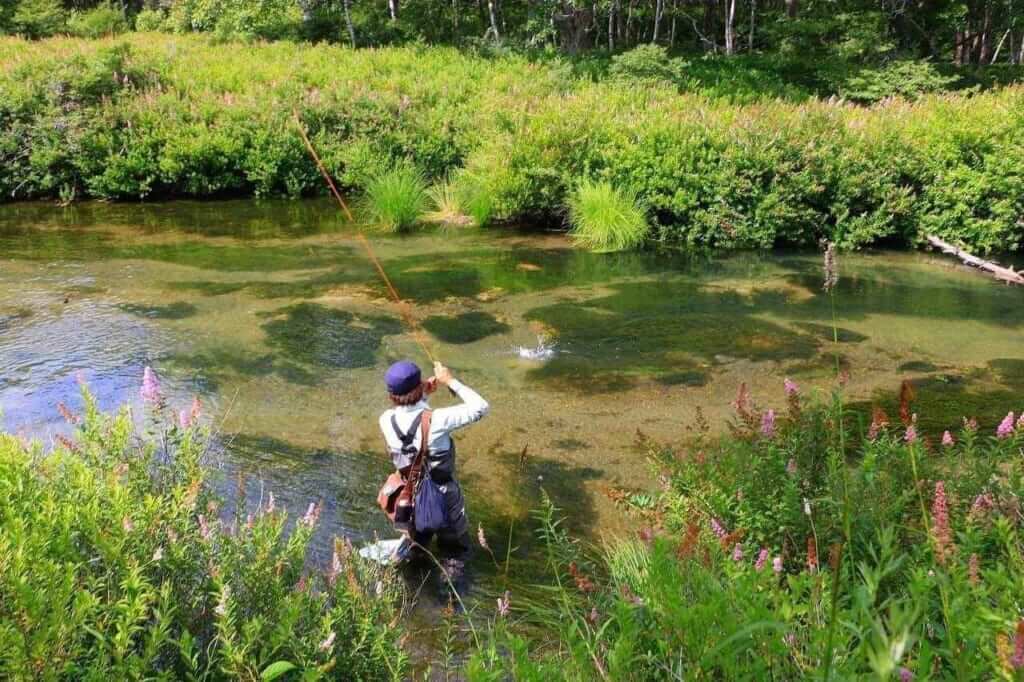 アマゴ釣り｜ネイティブトラウト｜【渓流に煌めく朱点の宝石、その輝きを追う】“アマゴ”の生態／釣りシーズン／釣り方／仕掛け／食べ方〈初心者釣り知識〉