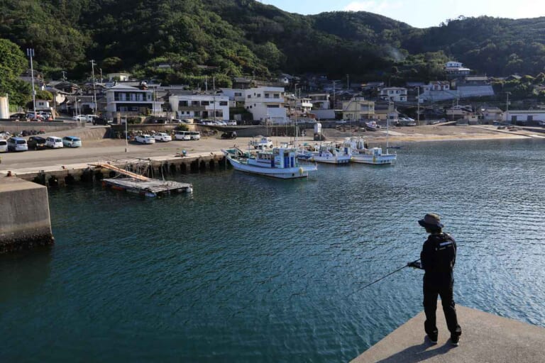 アオリイカの釣り方｜エギング｜〈初心者の釣り〉“アオリイカ”の生態／釣りシーズン／釣り方／仕掛け／食べ方【イカの王様を釣って味わう!】