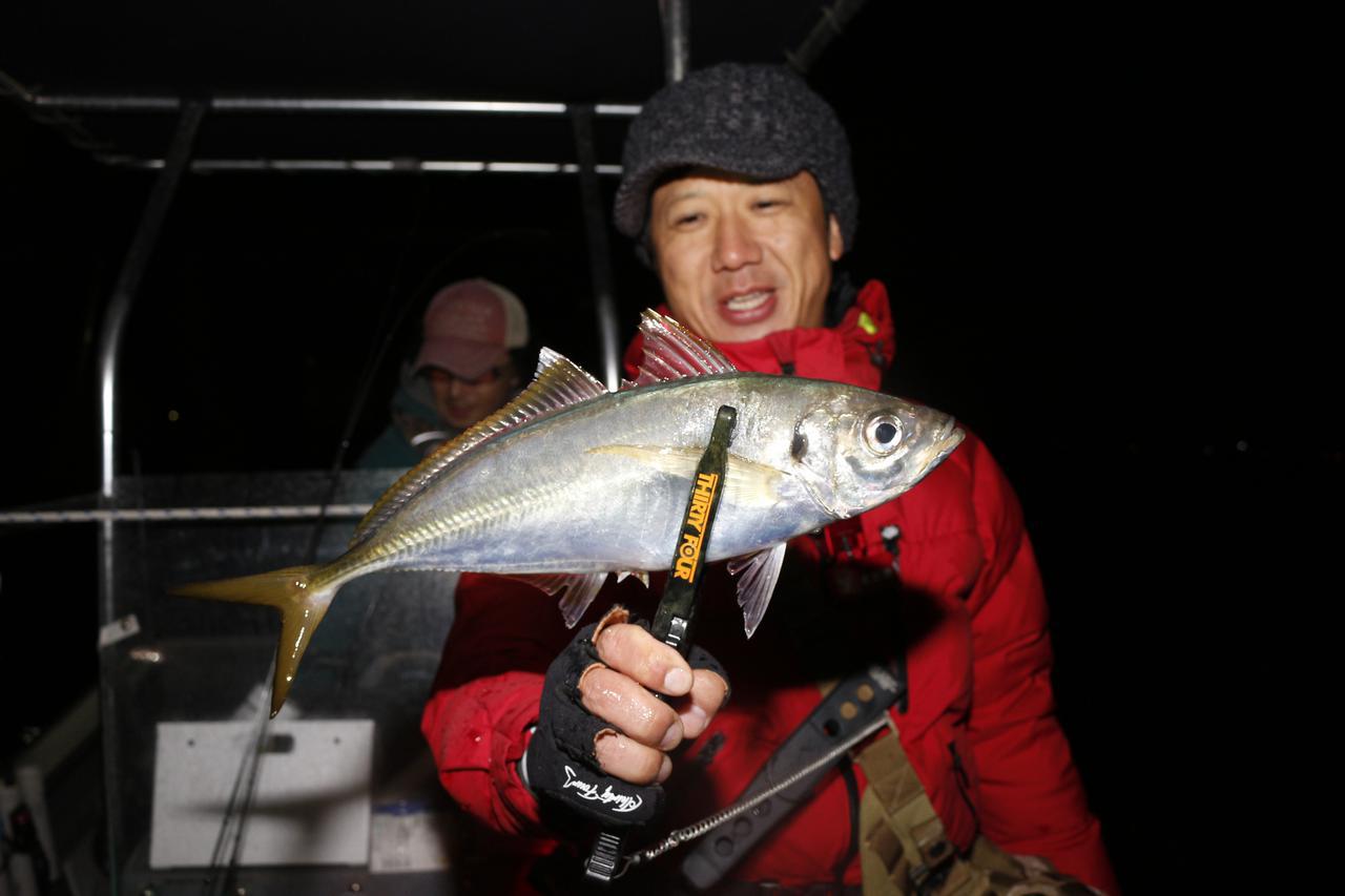 アジ釣り｜キアジ｜【堤防のアイドルは食べて絶品の万能魚】“アジ”の生態／釣りシーズン／釣り方／仕掛け／食べ方〈初心者釣り知識〉