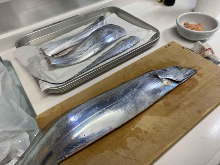 タチウオ釣り｜食べ方｜〈初心者の釣り〉“タチウオ”の生態／釣りシーズン／釣り方／仕掛け／食べ方【神出鬼没! 幽玄に輝く銀のドラゴン】