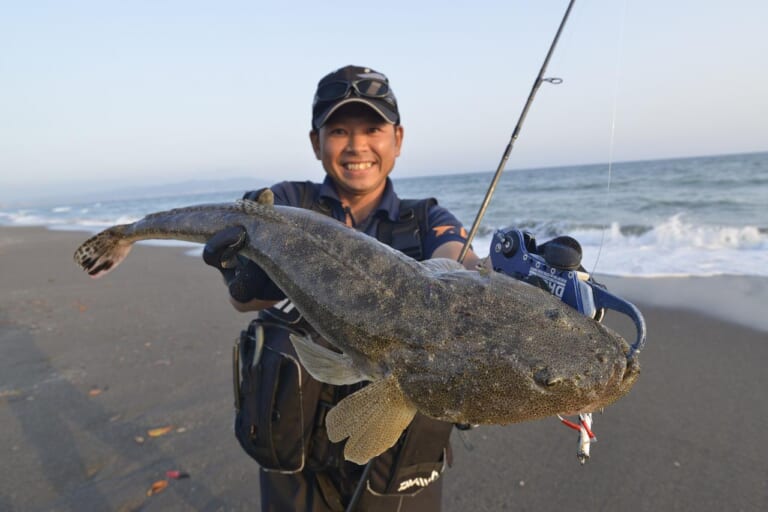マゴチ釣り｜サーフで釣れた大型マゴチ｜〈初心者の釣り〉“マゴチ”の生態／釣りシーズン／釣り方／仕掛け／食べ方【夏のサーフの主役! 高級魚“照りゴチ”を狙え】
