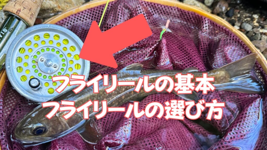 オススメのフライリールとフライリールの基本【フライフィッシングの