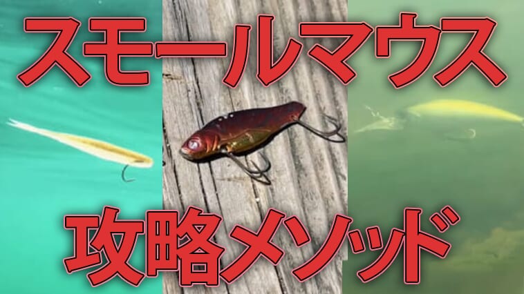 ｜檜原湖完全攻略！プロガイドが明かす春の対スモールマウスメソッド【ポイントはラインシステム】