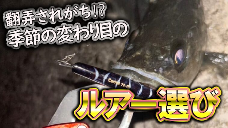 次々と種類が変わるベイトパターン…この季節のシーバスはどのようにとらえるのか？『ルアー選び』の考え方を紹介