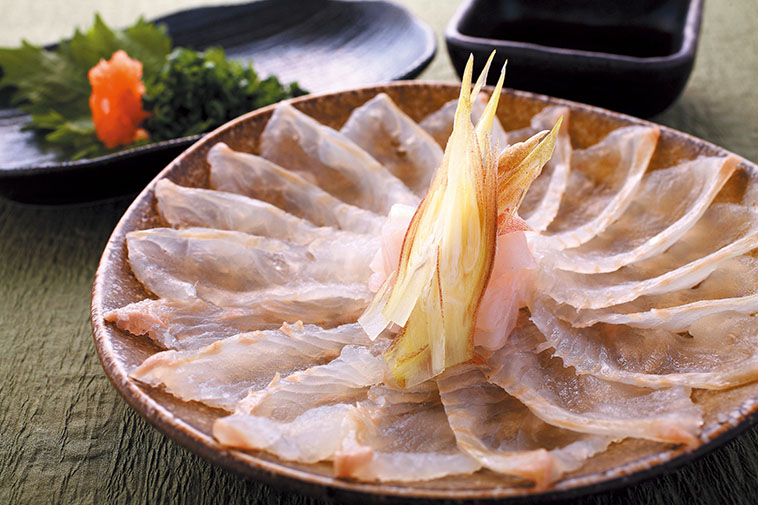 ヒラメの釣り方｜ヒラメの刺身｜〈初心者の釣り〉“ヒラメ”の生態／釣りシーズン／釣り方／仕掛け／食べ方【サーフの王様! 座布団級を狙え】