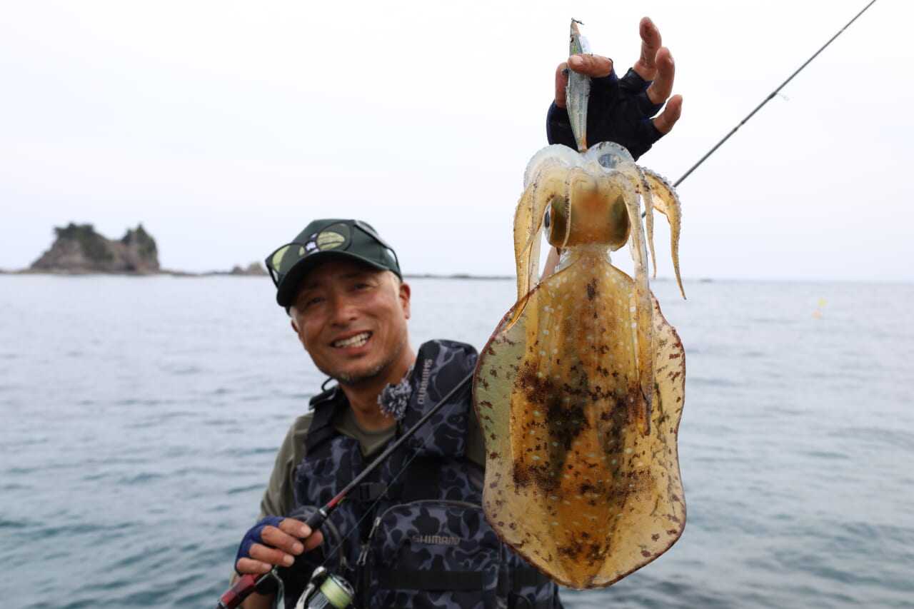 ｜釣れないデカイカに効く！プロが教える「エギ選び」の鉄則とは？【湯川マサタカ】