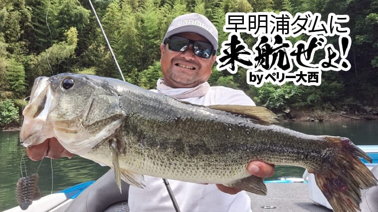 早明浦ダム絶好調！やっぱり釣れる『ギミー』は必携ルアーだ！【早明浦ダムに来航ぜょ！】