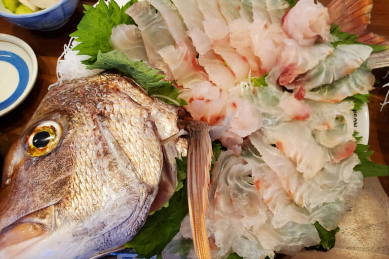 マダイの釣り方｜マダイの刺身｜〈初心者の釣り〉“マダイ”の生態／釣りシーズン／釣り方／仕掛け／食べ方【釣ってよし食べてよし! 誰もが愛する海の赤い宝石】
