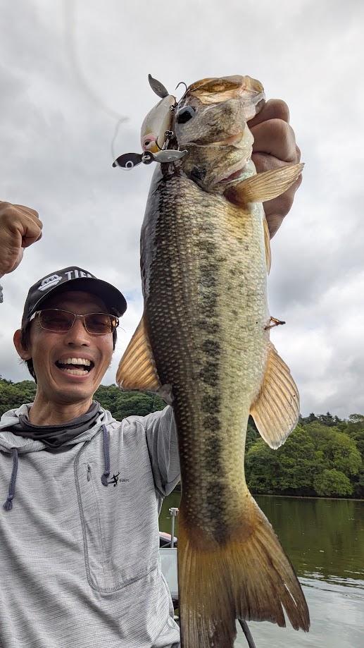 プロップペッパーJrで釣れたブラックバス｜スレた亀山湖でもプロップペッパーJrが効果的！ バスが思わずバイトしてまう“本物のルアーパワー”。
