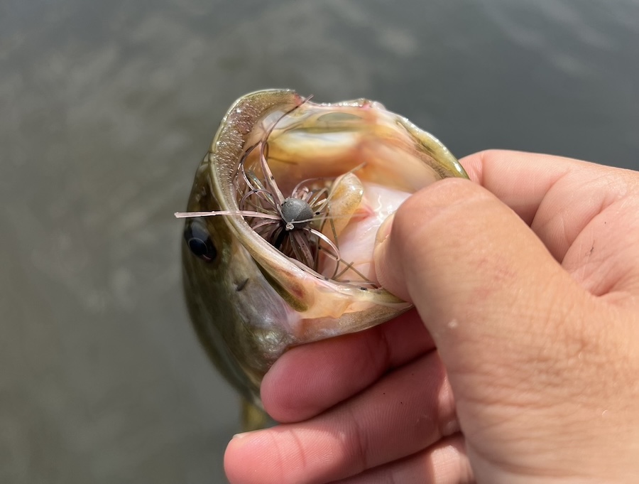 ｜「やっぱりすごいわ…」口を使うのはこればっかり！コイツでしか食わない魚が確実にいる。最近釣れまくりの話題の新作