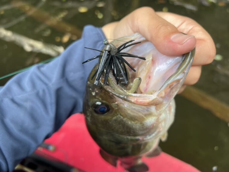 ツルストで釣ったブラックバス｜最近トレンドな“ツルスト”。バイト数が明らかに多いテクニックを試した結果…。