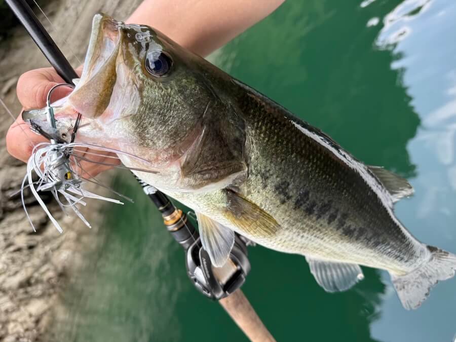 ｜バタバタクローが魚からエサ認定!? 反則級に釣れる使い方とは？