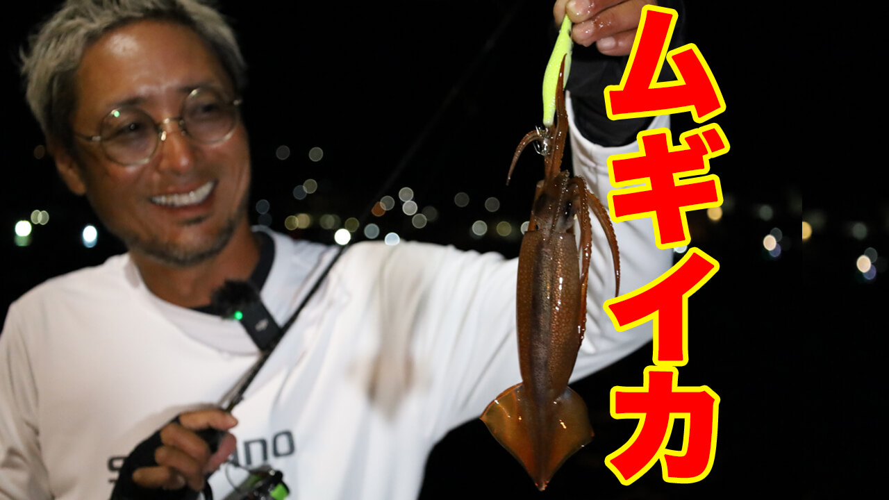 ｜「明確にアタるね（笑）」「気持ちいい!」湯川マサタカが南三陸で挑むスルメイカ(ムギイカ)のライトエギング