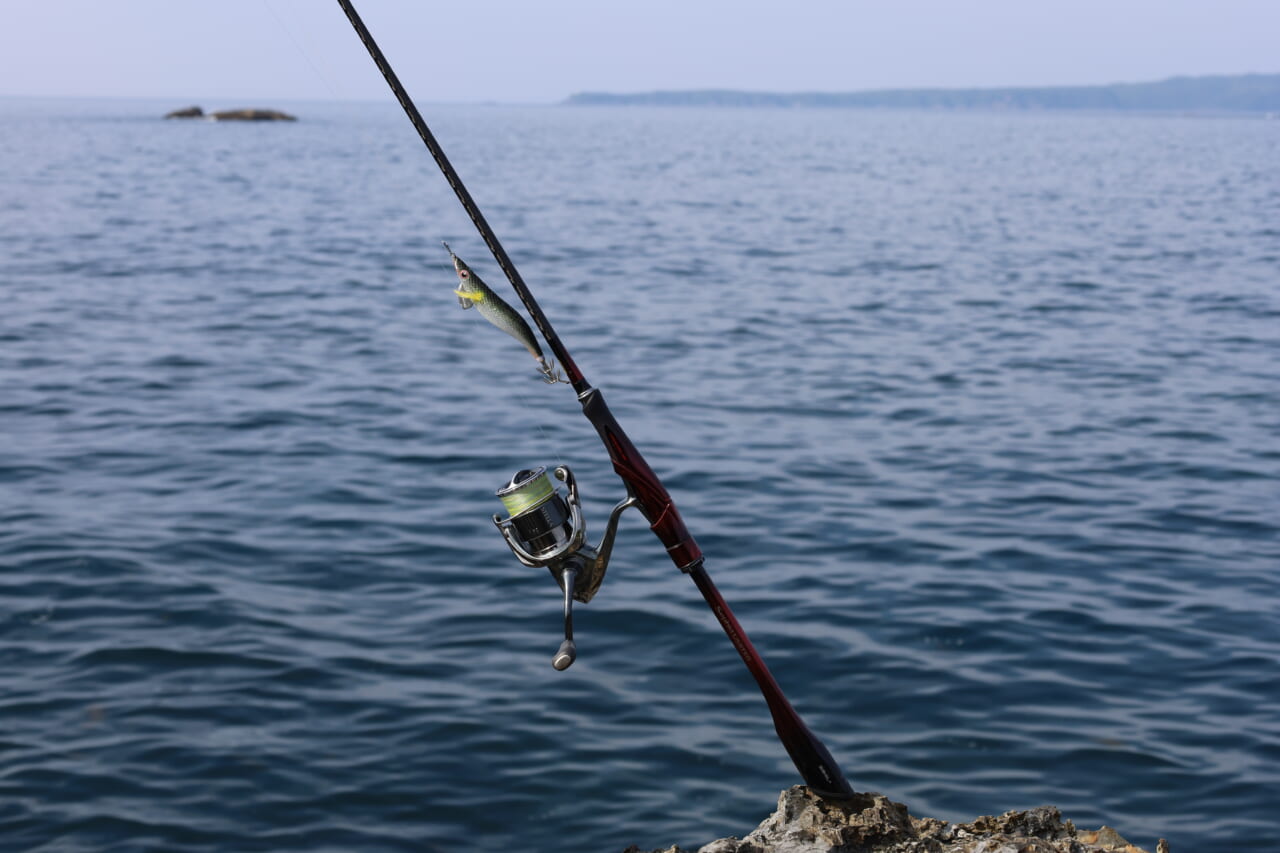 ｜釣れないデカイカに効く！プロが教える「エギ選び」の鉄則とは？【湯川マサタカ】
