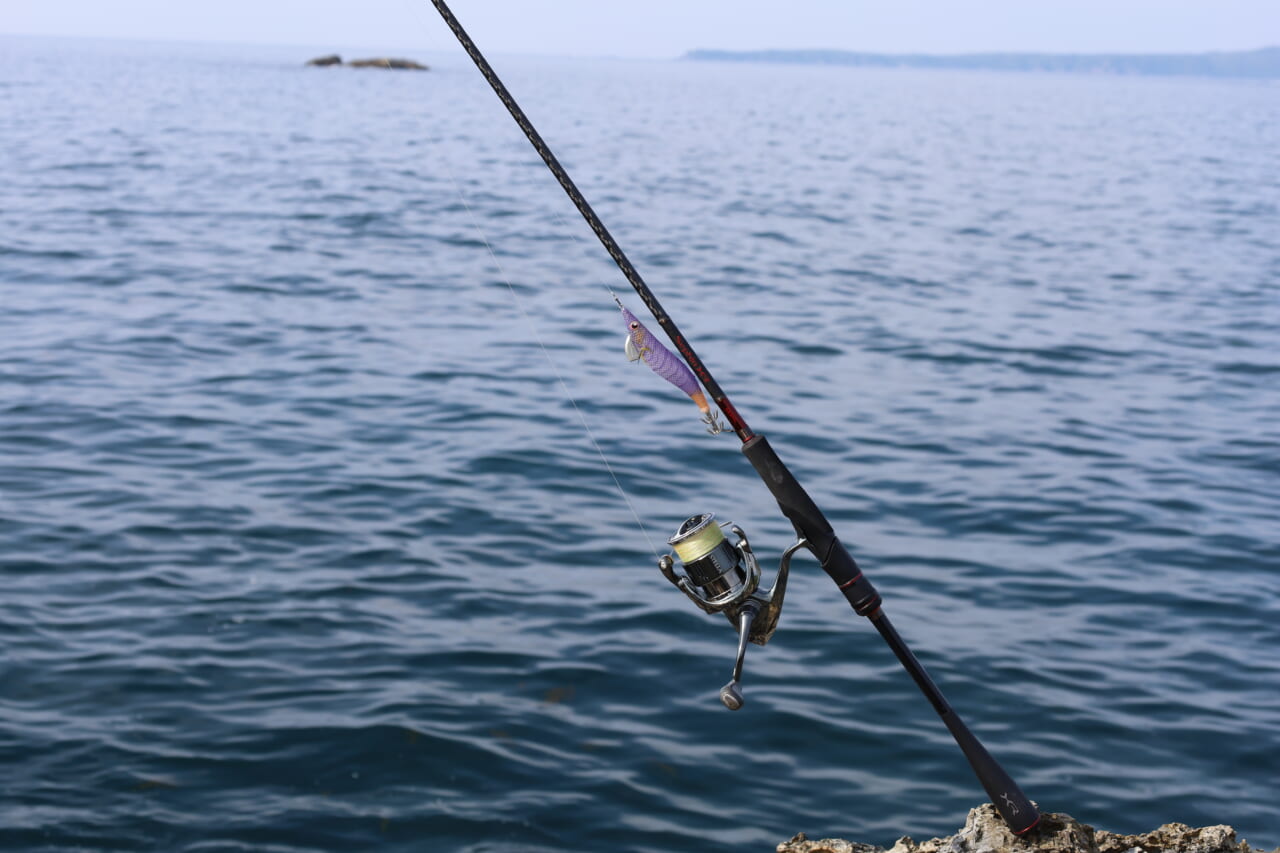 ｜釣れないデカイカに効く！プロが教える「エギ選び」の鉄則とは？【湯川マサタカ】