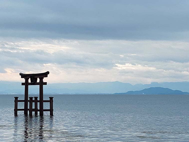 小アユ釣り｜釣り方｜琵琶湖｜〈初心者の釣り〉“小アユ”の生態／釣りシーズン／釣り方／仕掛け／食べ方【琵琶湖からの春の使者、手軽に楽しむ川の幸】