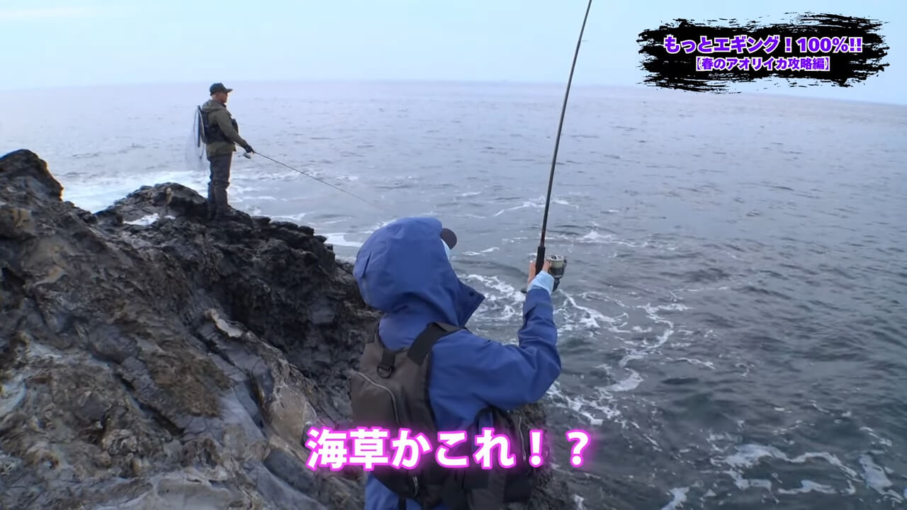 ｜釣れないデカイカに効く！プロが教える「エギ選び」の鉄則とは？【湯川マサタカ】