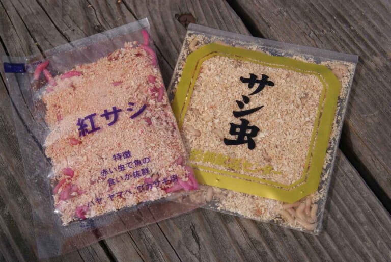 ワカサギの釣り方｜ワカサギのエサ｜〈初心者の釣り〉“ワカサギ”の生態／釣りシーズン／釣り方／仕掛け／食べ方【冬の風物詩! 湖上の繊細なアタリを楽しむ】