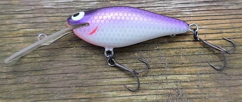 ｜【変〇集団⁉】自分で作ったルアーだけが使えるバス釣り大会に出場してみた
