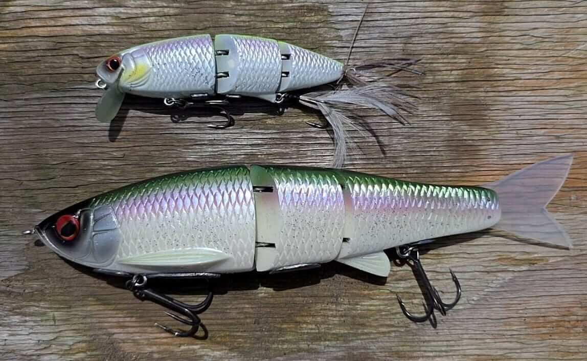 ｜【変〇集団⁉】自分で作ったルアーだけが使えるバス釣り大会に出場してみた
